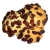 photo - Croquant Raisin