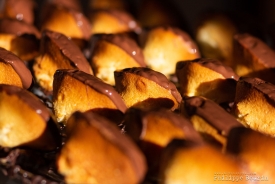 LES MADELEINES CHOCOLAT  - La Biscuiterie Lolmede