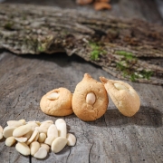 MACARON AMANDE AMÈRE - Les macarons du terroir - La Biscuiterie Lolmede