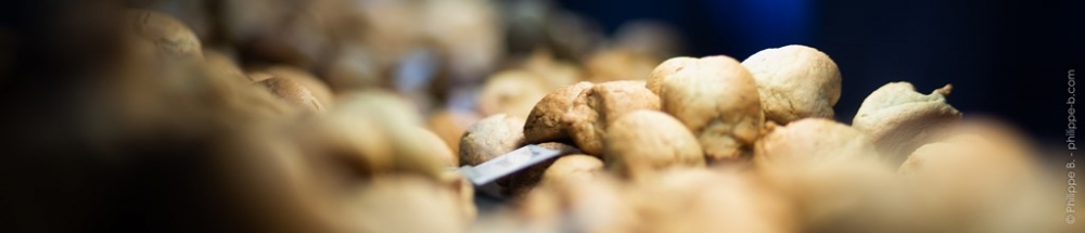 macaroons - banner