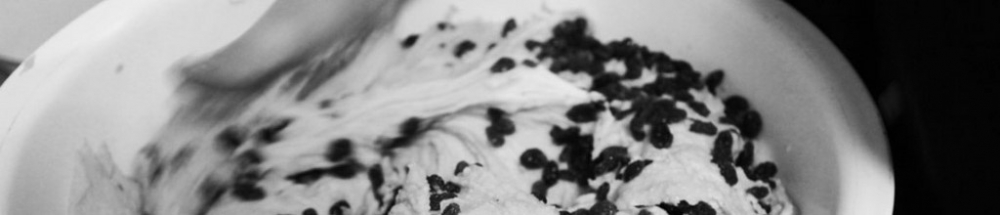 macaroons - banner macaroons - banner